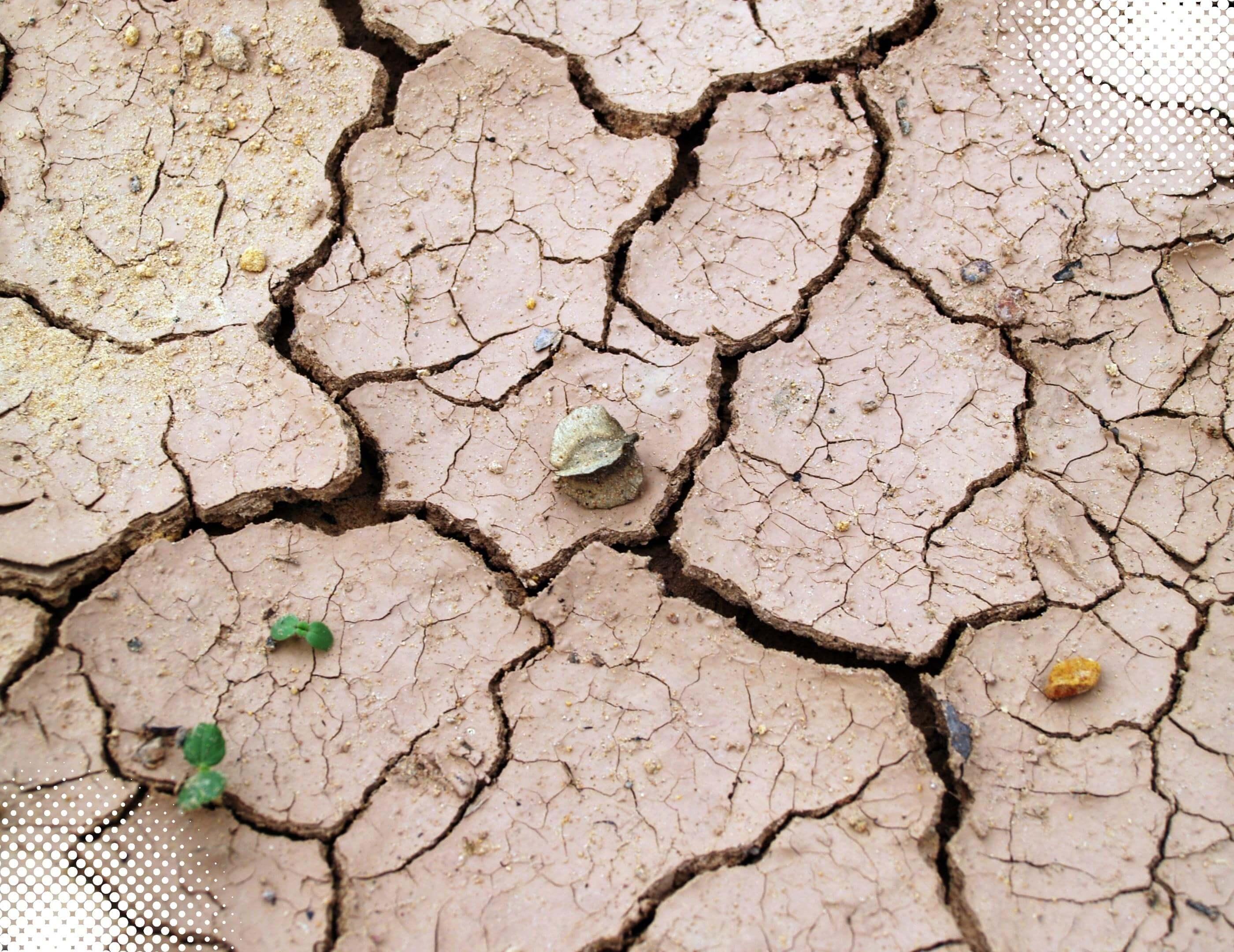 Mujer con resequedad vaginal buscando solución - guía La Pepa