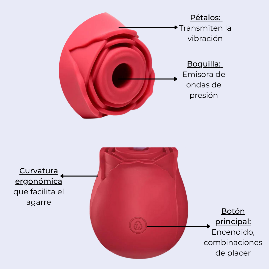 Vibrador y Succionador Ohlala Rose - La Pepa