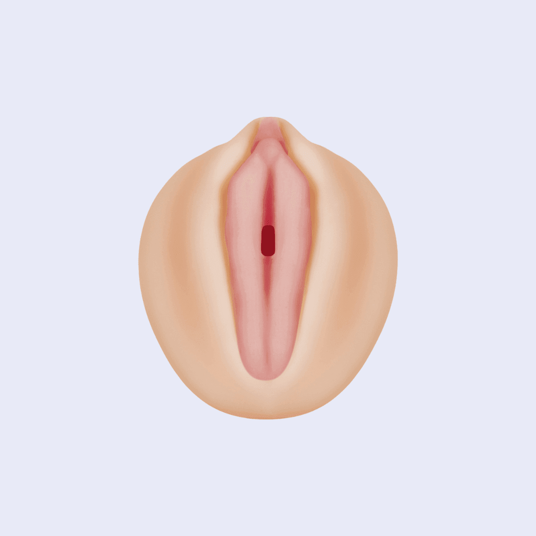 Masturbador Realista Vagina Alexis Texas - La Pepa